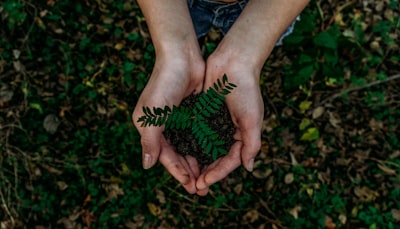 Agribusiness